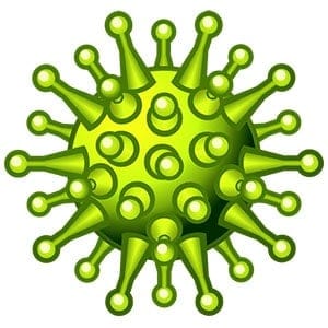 girasol Magistrado Uluru Virus en página web. Eliminar virus en página web infectada.